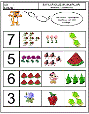 okul öncesi çocuklar için sayı çalışmaları